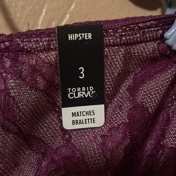 TORRID size 3X NWTS hipster lace sheer panties w/ keyhole back - Picture 3 of 6